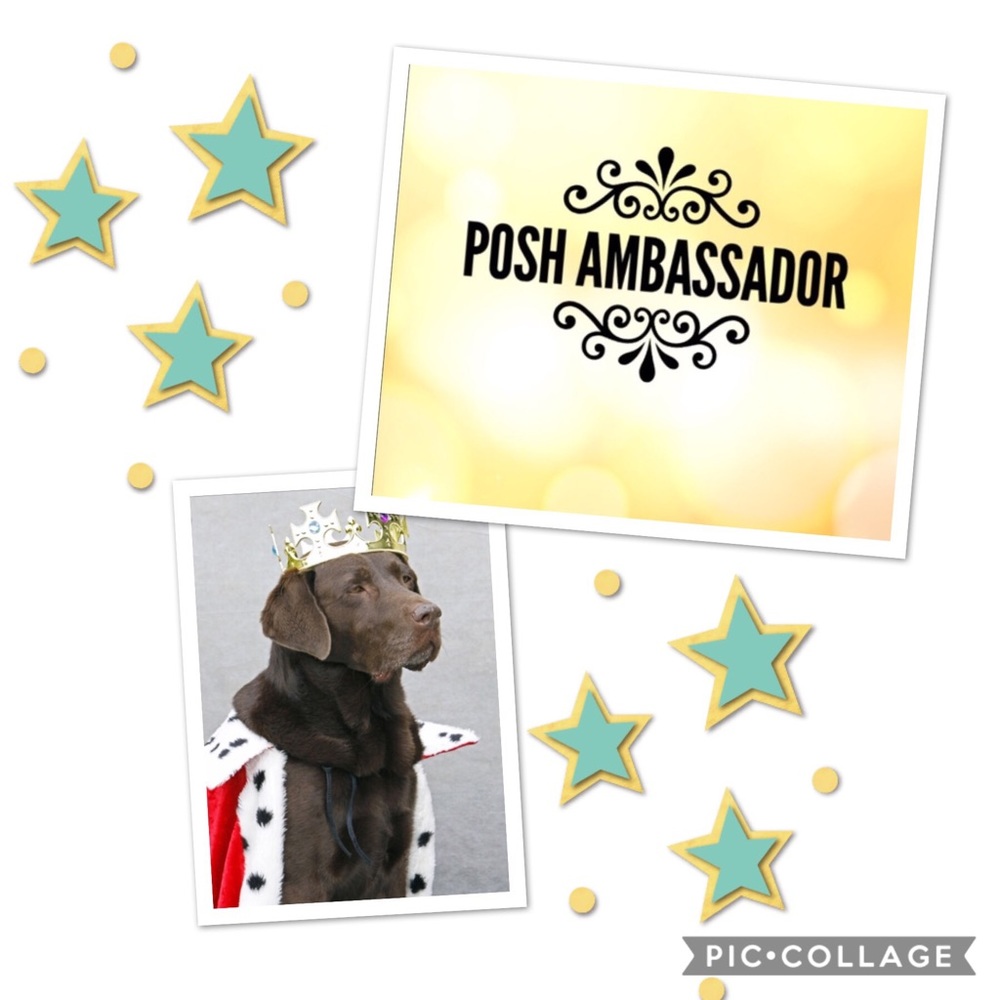 Meet your Posher, Toni